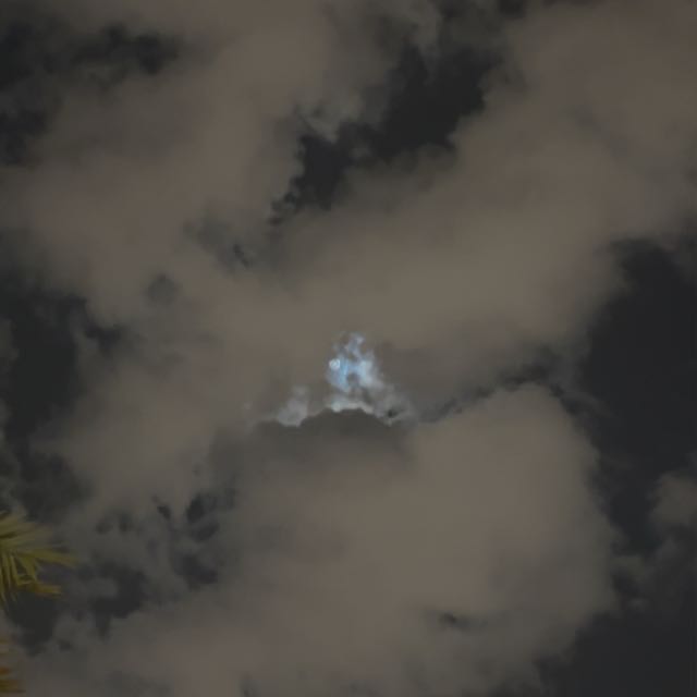 Mohammed Ahmed - Owner